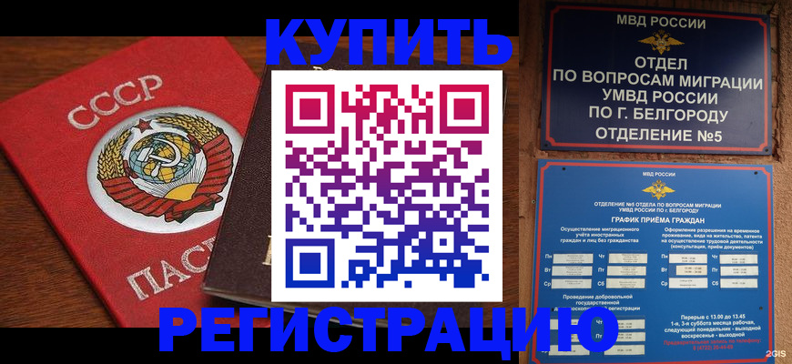прописка для работы в Березниках